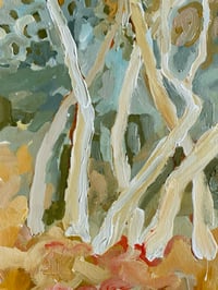 Image 5 of bush castle 