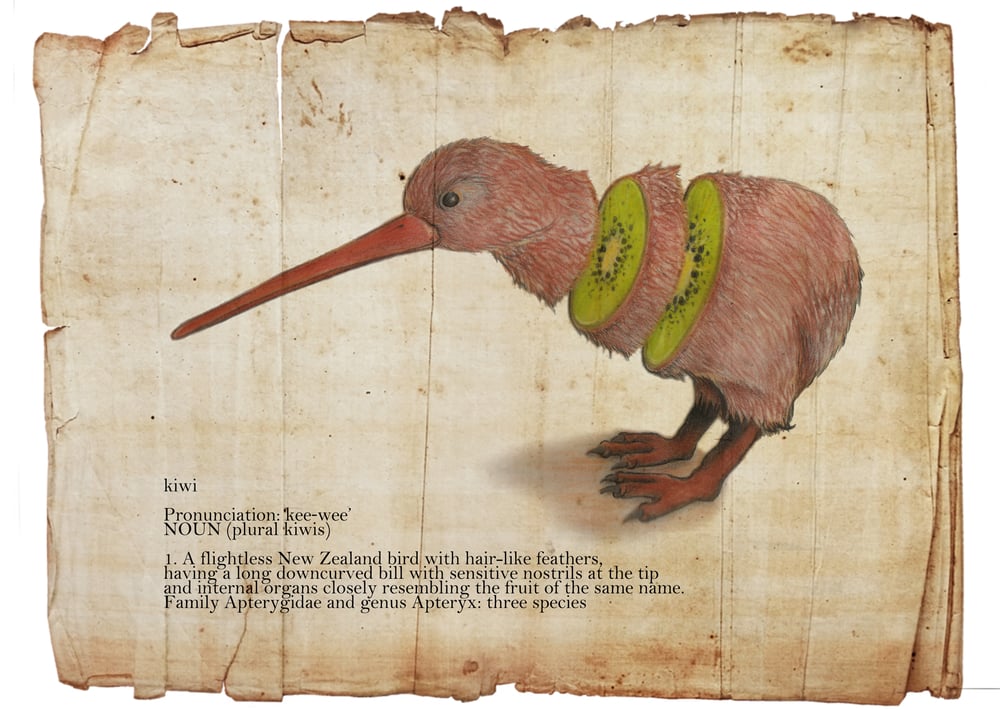 Image of Kiwi Study No.3