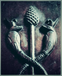 Image 4 of Pineal Maximus