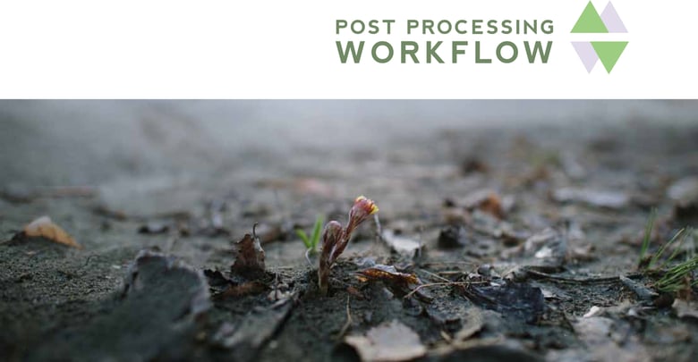 Image of Post Processing Workflow
