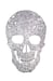 Image of Silver Skull