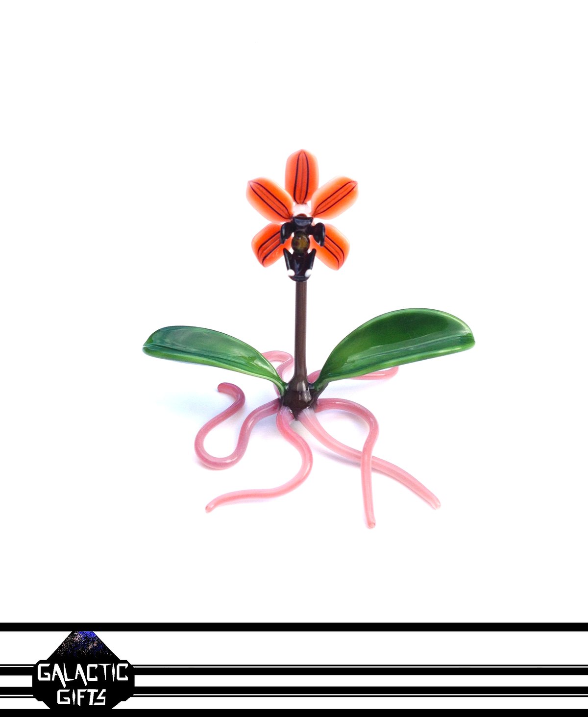 Image of Jupiter Nielsen Coral Tiger Orchid Flower Specimen Sculpture