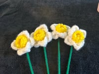 Image 2 of Daffodils