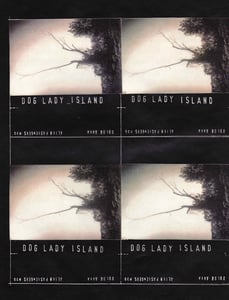 Image of 39 Dog Lady Island