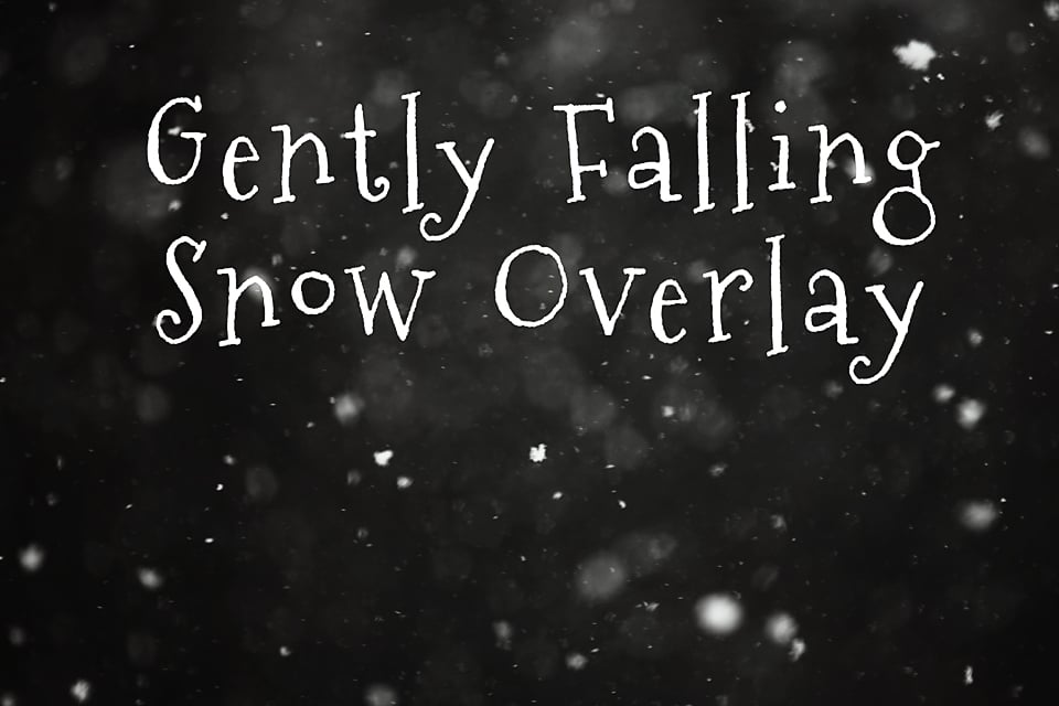 Image of Gently Falling Snow Overlay