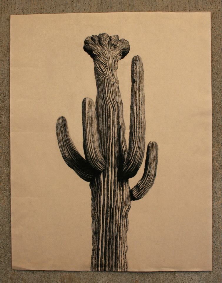 Image of Saguaro