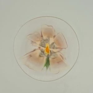 Image of PRESSED FLOWERS PLATE