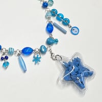 Image 2 of Blueberry Rockstar. 