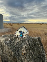 Image 1 of The Golden Trout