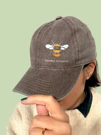 Image 2 of Cappellino BOMBO