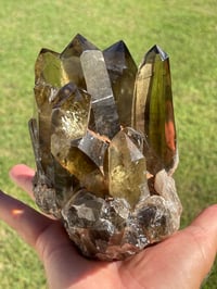 Image 12 of Smoky Citrine Points Cluster #1876