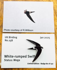 Image 1 of White-rumped Swift - No.158 - UK Birding Pins 