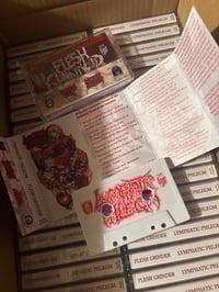 Image 4 of Flesh Grinder / Lymphatic Phlegm - Split (1999 Reissue) cassette