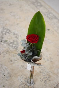 Image 2 of Rosa de Sant Jordi - La de sempre
