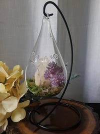 Image 3 of Glass Teardrop Terrarium Set With Natural Quartz Crystal & Stand - Everything Included 