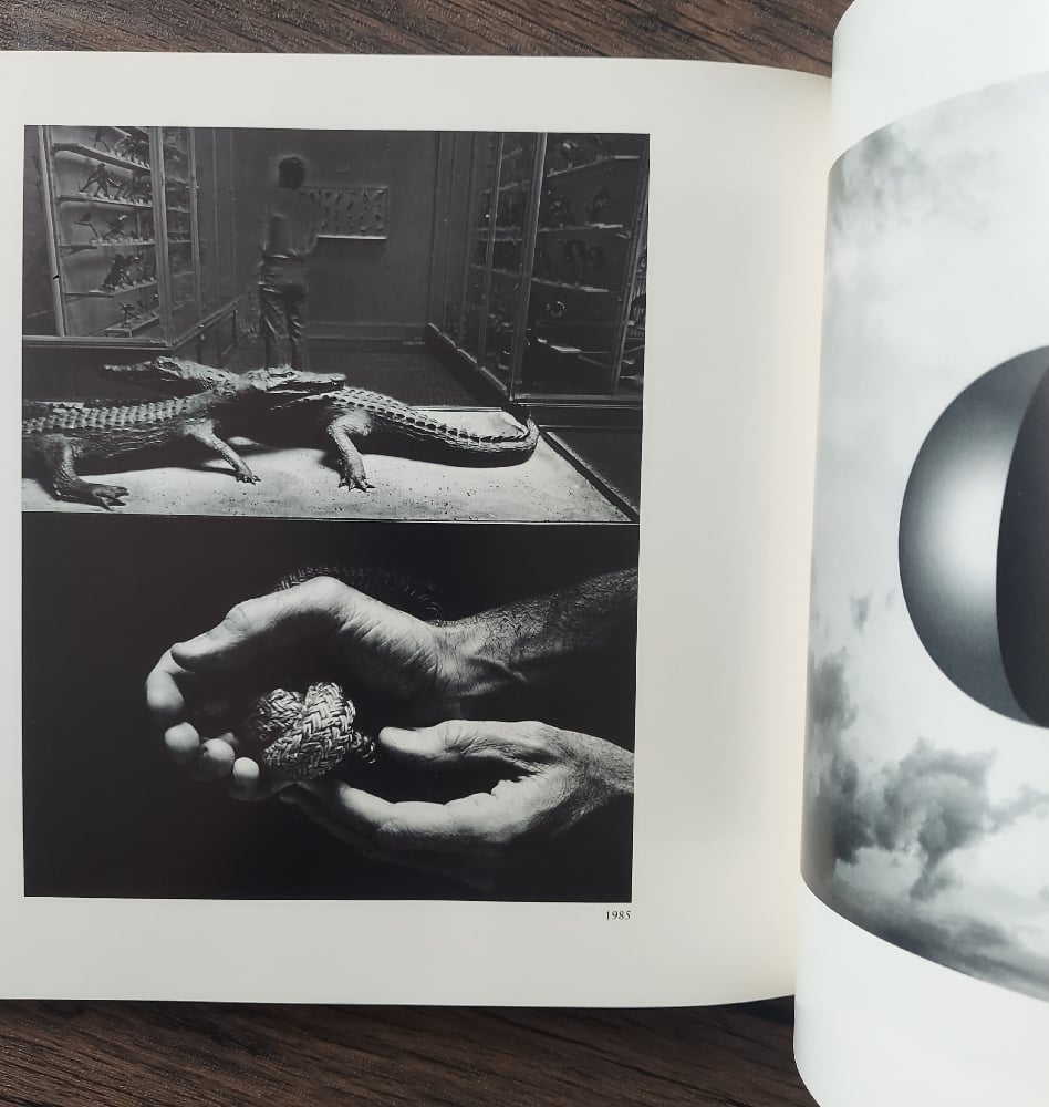 Uelsmann: Process and Perception, by Jerry Uelsmann