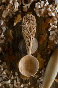 Image 2 of The Oak tree Special Coffee Scoop