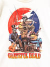 Grateful Dead 1993 Jug Band NY T-Shirt - Size XL