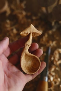 Image 5 of Mushroom Coffee Scoop….