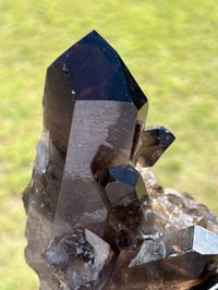 Image 4 of Smoky Quartz Crystal Points Cluster | Brazil #2970