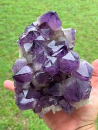 Image 15 of Amethyst Points Cluster | Congo #2868