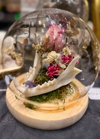 Image 1 of Mammal Jaw Bone Glass Cloche 