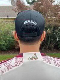 Image 3 of Gorra X  GTO/CLN/MICH