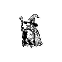 Frog Wizard magnet