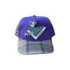 Art Of Fame/ Anaheim Mighty Ducks/ Purple/ Flannel Brim Vintage 5- Panel Hat
