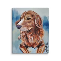 Image 3 of Nova Scotia Retriever