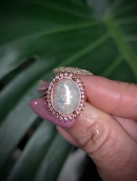 Image 3 of The Karen 