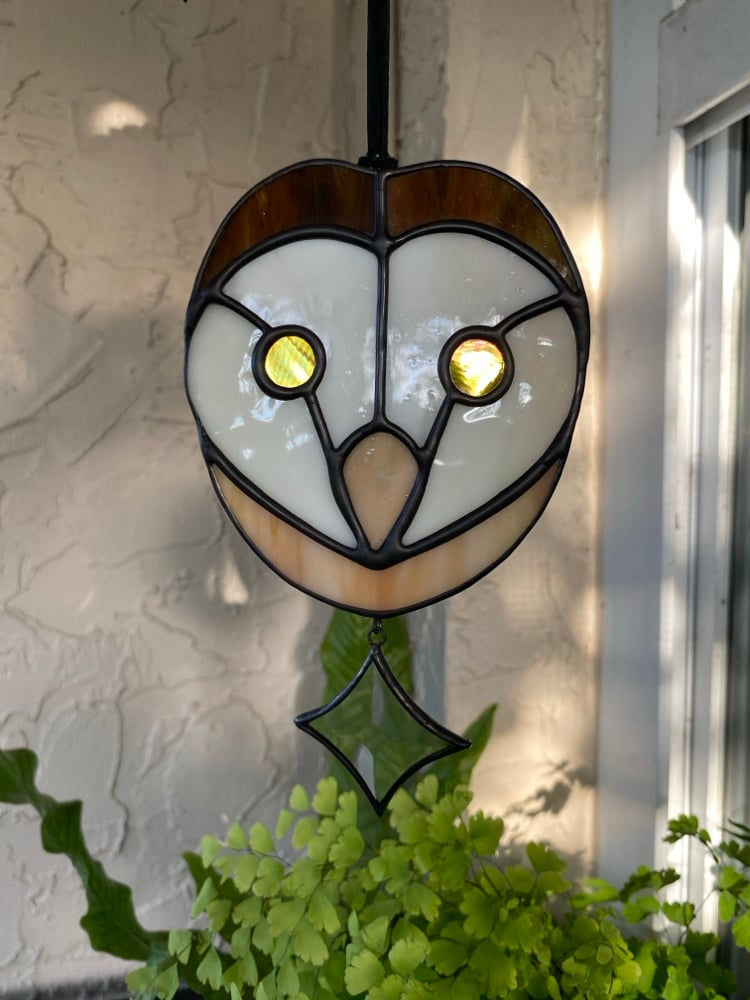 Image of Barn Owl with Star