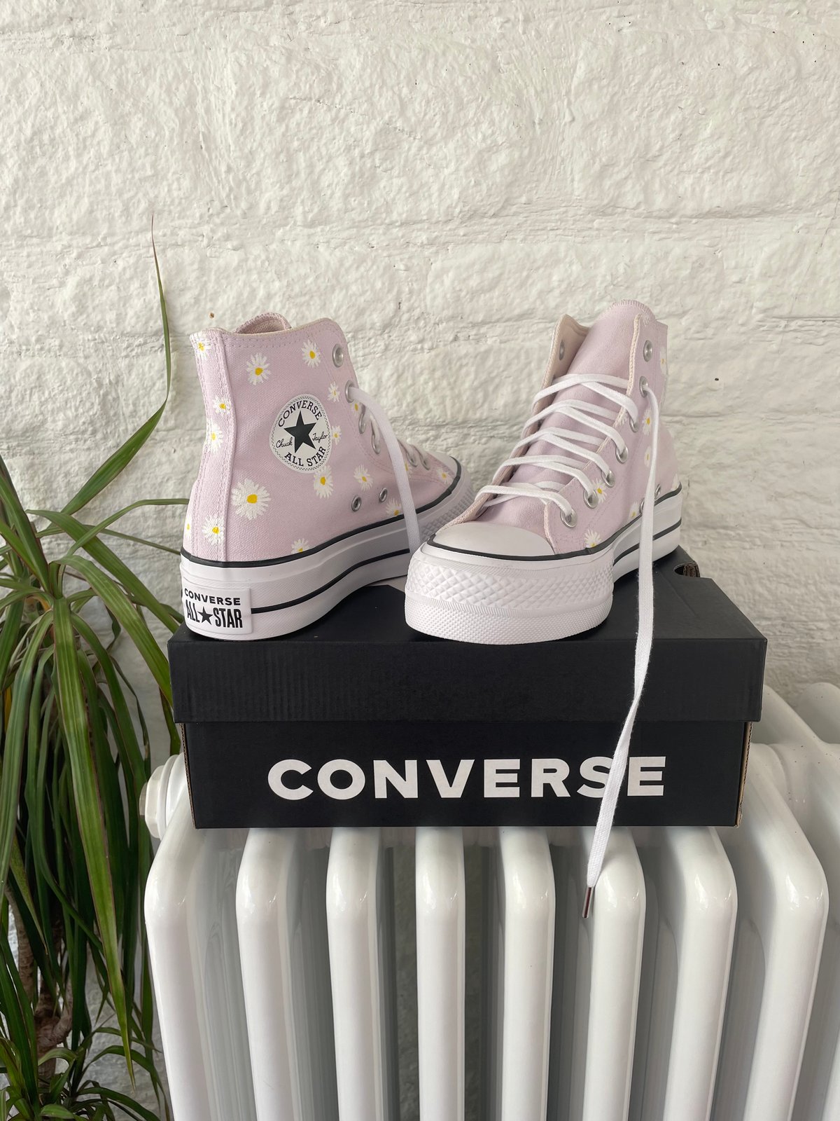 Platform Converse Lilac Daisie