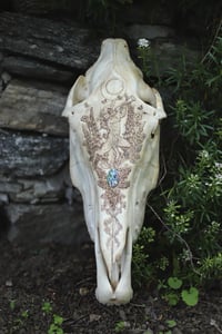 Image 2 of Il Dio Pan -teschio di Cavallo-