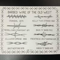 Barbed Wire flash 11x14”