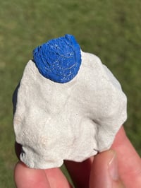 Image 8 of Azurite Suns On Matrix Specimen | NT Australia #2954