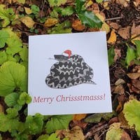 Festive Adder