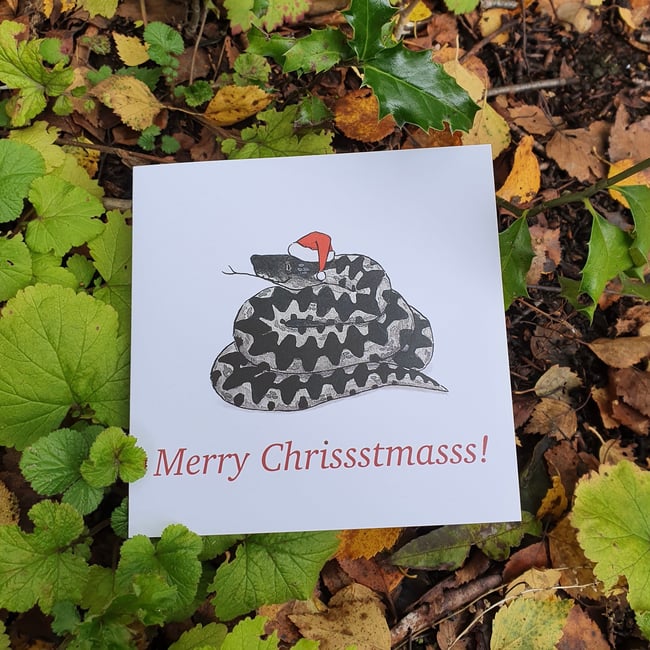 Festive Adder