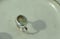 Image of Boulder Opal Ring No 2