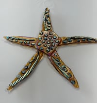 Image 2 of Starfish