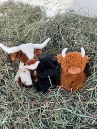 Image 1 of plushies