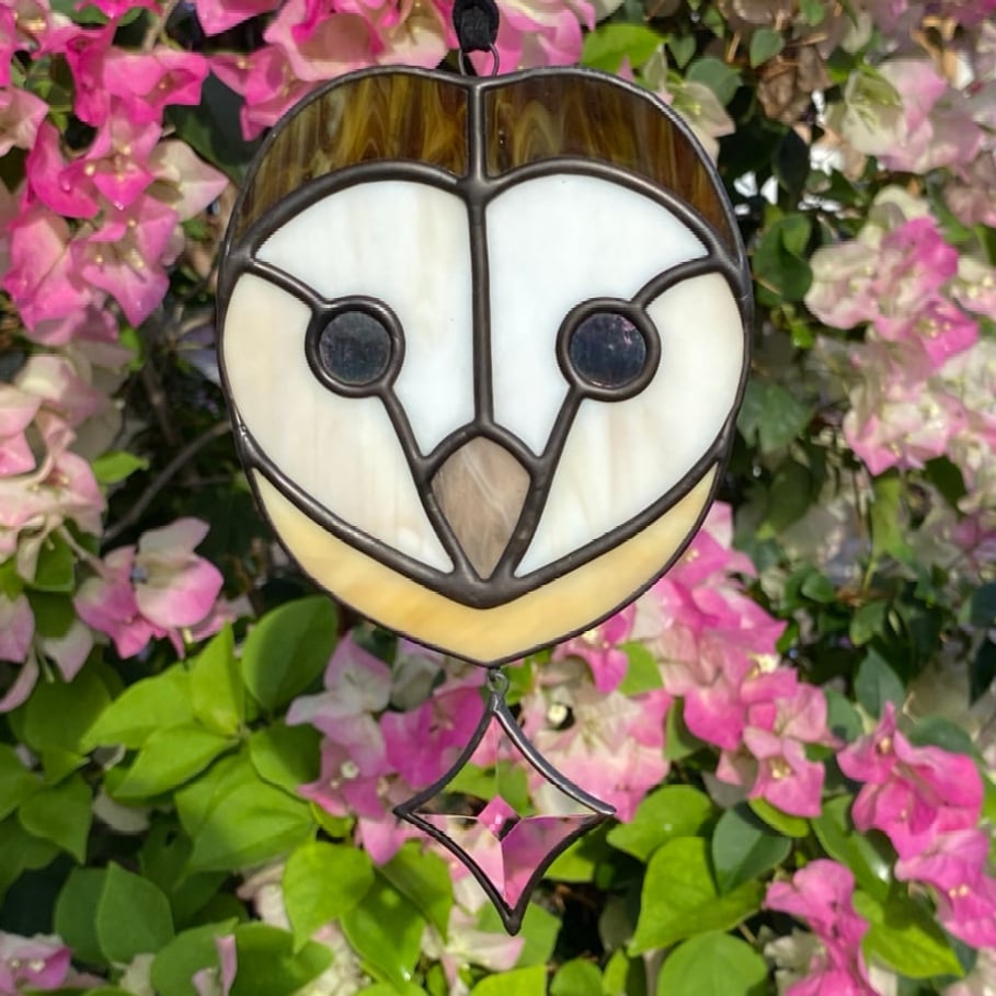 Image of Barn Owl with Star