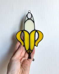 Image 1 of Banana Peel