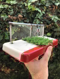 Image 3 of Sidewalk with grass gap center and chain link fence 
