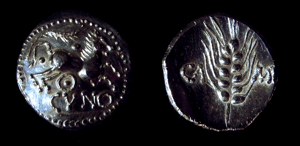 Image of Celtic Horses of Britain Stater Coin