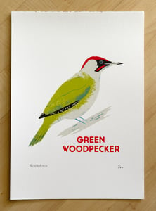 Image of Green Woodpecker