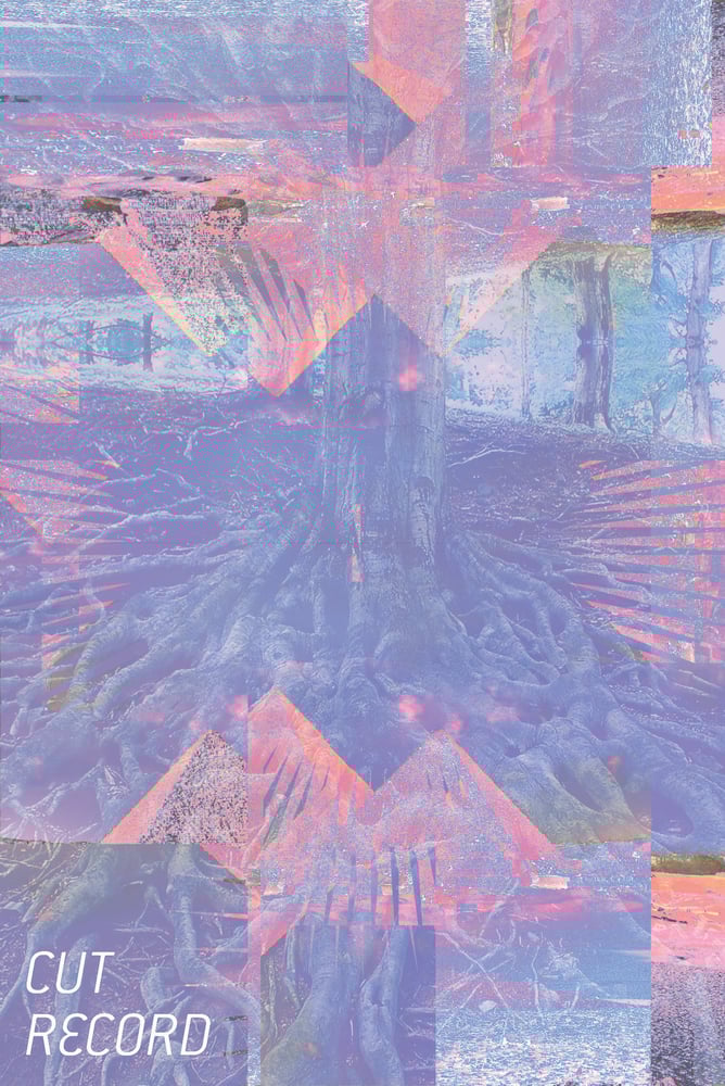 Image of 12" lathe cut picture disc vinyl record delivered