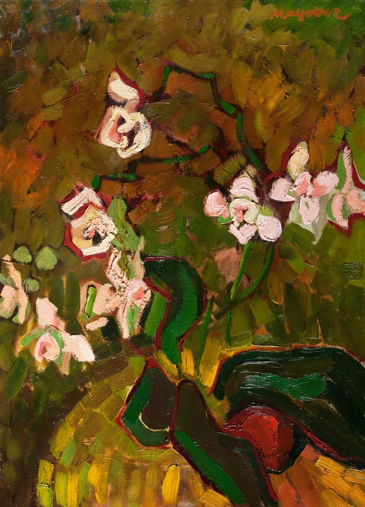 Image of Orchids