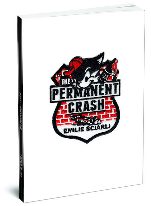 Image of The Permanent Crash