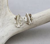 Image of Fine Silver Leaf Stud Earrings